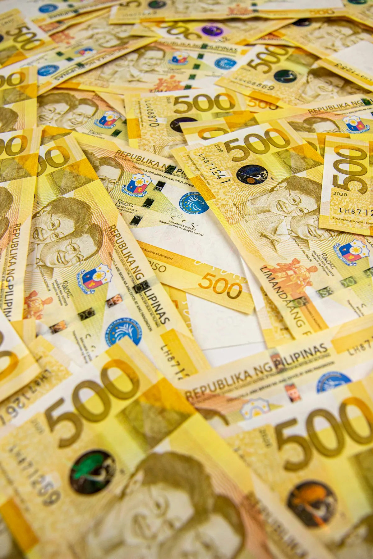 Philippine peso bills for computing rental costs